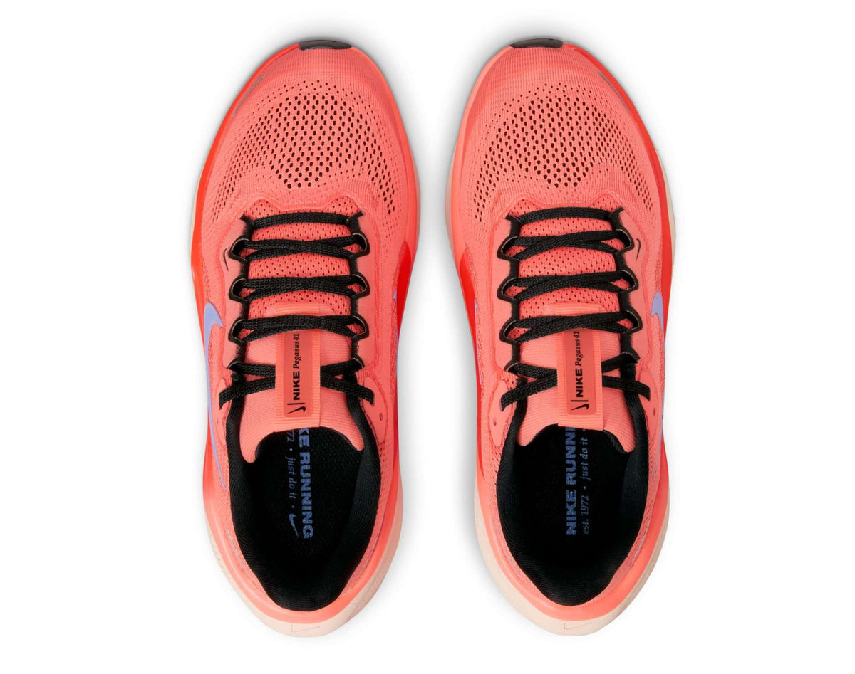 Scarpe da corsa per bambini Nike Pegasus 41