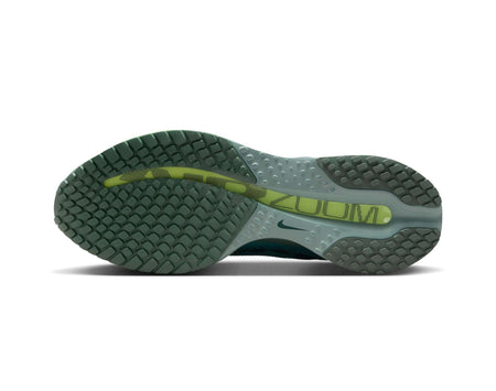 Chaussures de course pour homme Nike Pegasus Premium