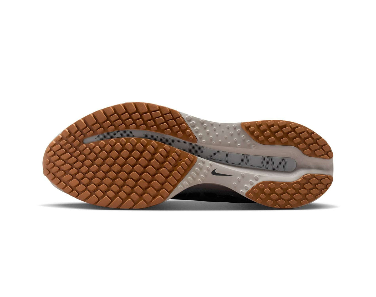 Chaussures de course pour homme Nike Pegasus Premium