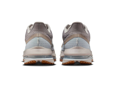 Chaussures de course pour homme Nike Pegasus Premium