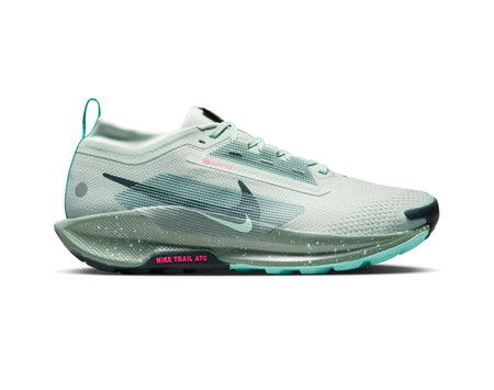 Chaussures de trail running Nike Pegasus Trail 5 GORE-TEX pour homme