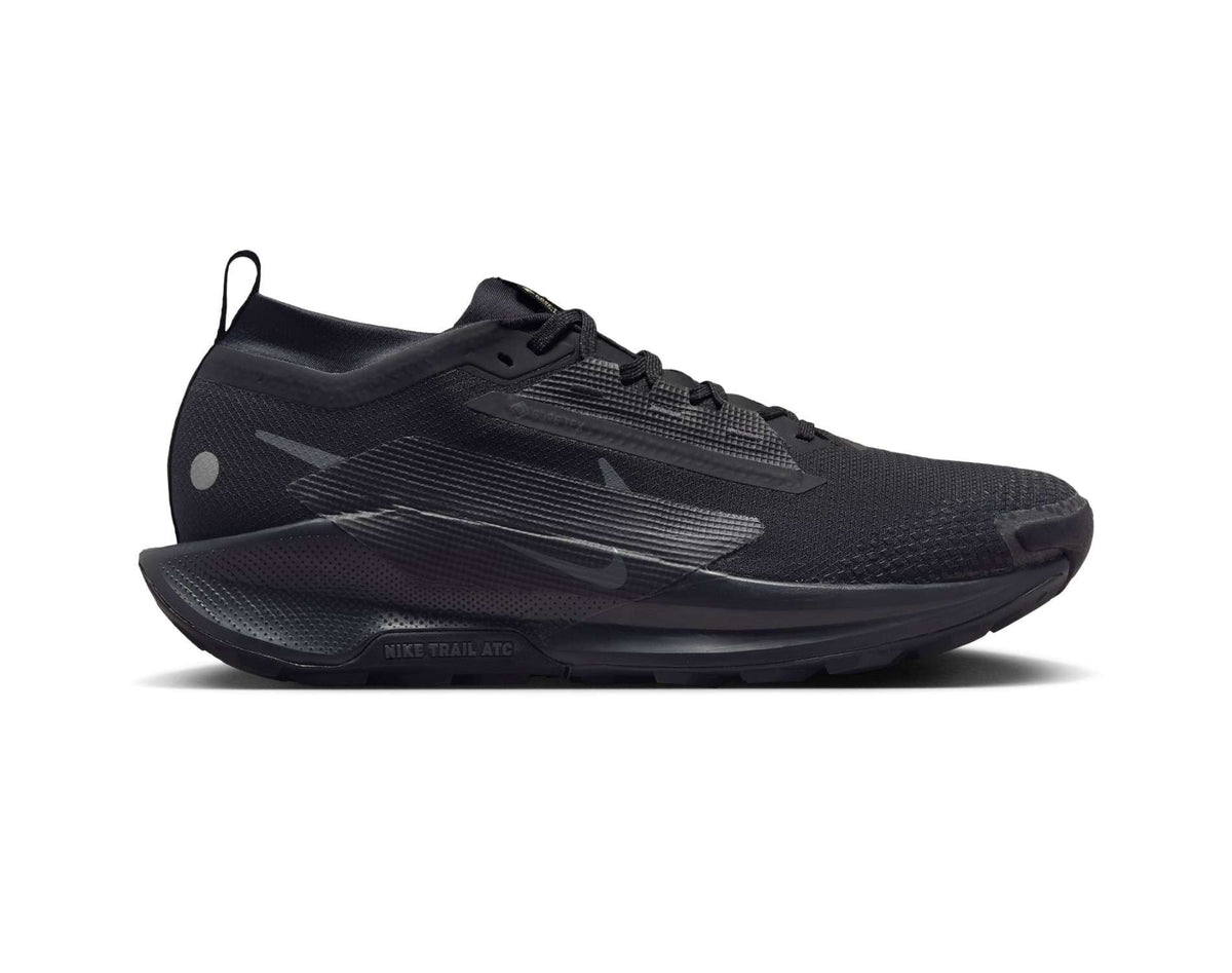 Chaussures de trail running Nike Pegasus Trail 5 GORE-TEX pour homme
