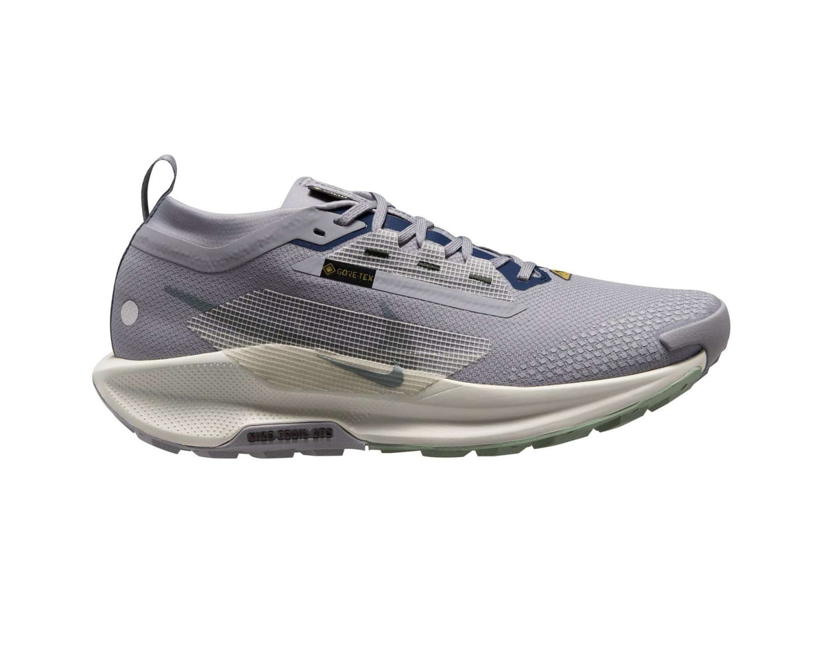 Chaussures de trail running Nike Pegasus Trail 5 GORE-TEX pour homme