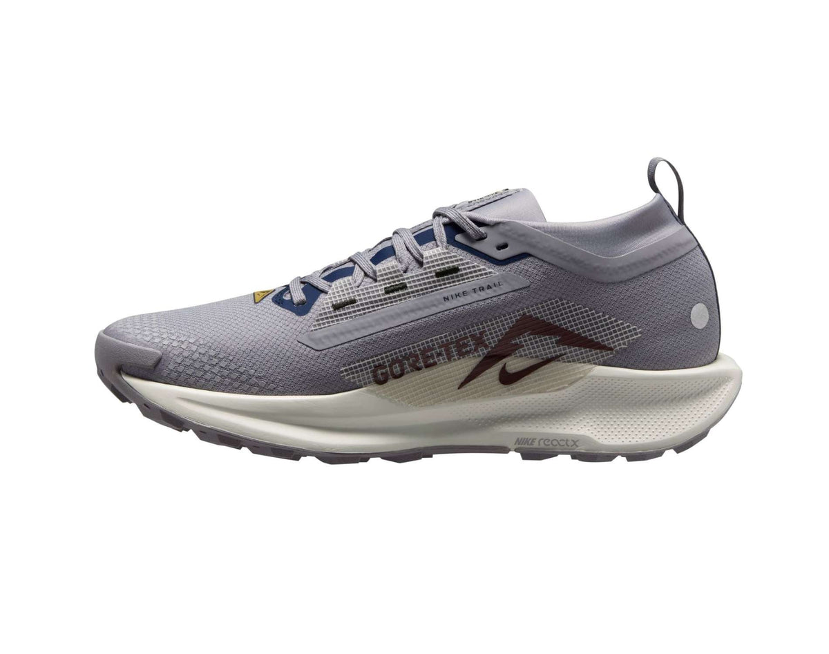 Chaussures de trail running Nike Pegasus Trail 5 GORE-TEX pour homme