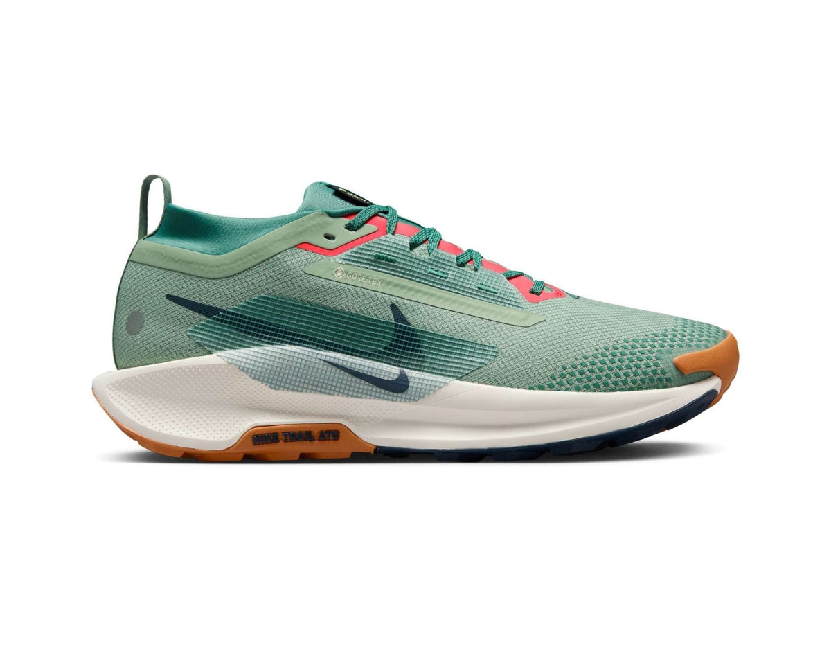 Chaussures de trail running Nike Pegasus Trail 5 GORE-TEX pour homme